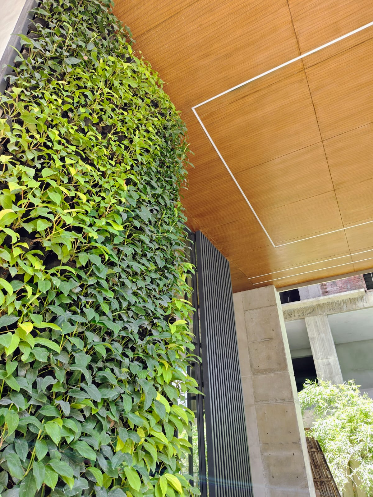 Green Wall